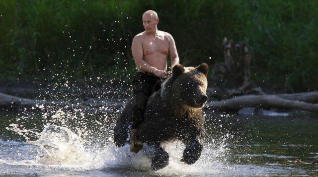 ロシアの街ではクマが普通に歩いている、という噂は本当だった