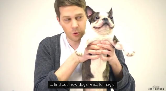 犬に「マジックは通用するか？」 やってみたｗｗｗｗｗｗ